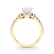 Regal Remount Ring Round Diamond Engagement Ring in 10K/14K gold and platinum with certified lab-grown or natural diamonds