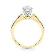 Resplendent Remount Ring Round Diamond Engagement Ring in 10K/14K gold and platinum with certified lab-grown or natural diamonds