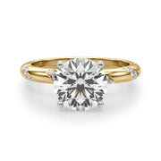 Regal Sidestone Round Diamond Engagement Ring in 10K/14K gold and platinum with certified lab-grown or natural diamonds