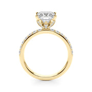 Crowned Sidestone Princess Diamond Engagement Ring in 10K/14K gold and platinum with certified lab-grown or natural diamonds