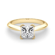Regal Double Prong Cut Engagement Ring Princess Diamond Engagement Ring in 10K/14K gold and platinum with certified lab-grown or natural diamonds